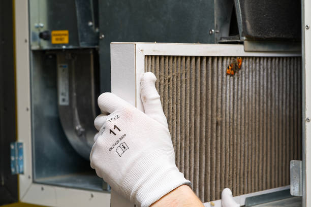 Best Air Duct Cleaning Near Me  in Humboldt, IA