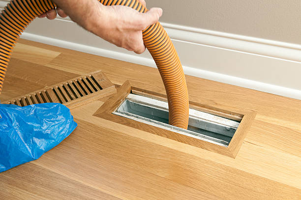 Best Local Air Duct Cleaning Services  in Humboldt, IA