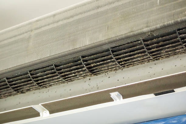 Best Duct Cleaning for Homes  in Humboldt, IA
